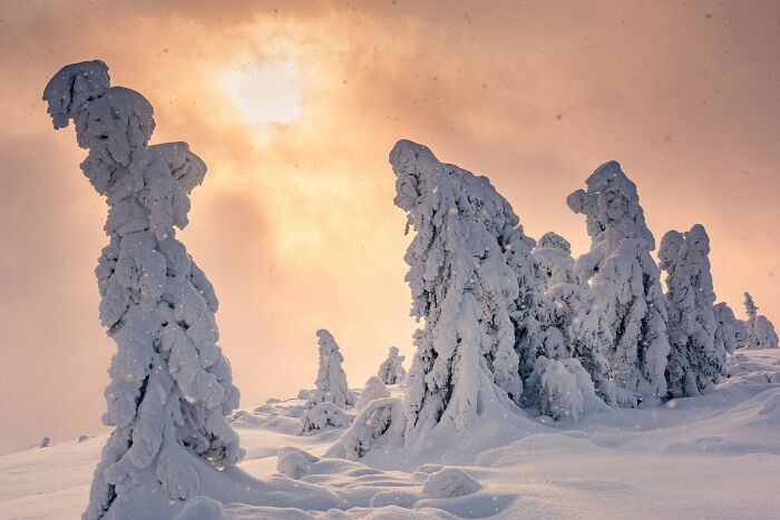 Lajstroch, Low Tatras