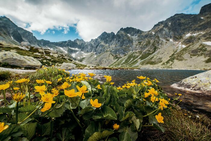 Velke Hincovo Pleso, High Tatras
