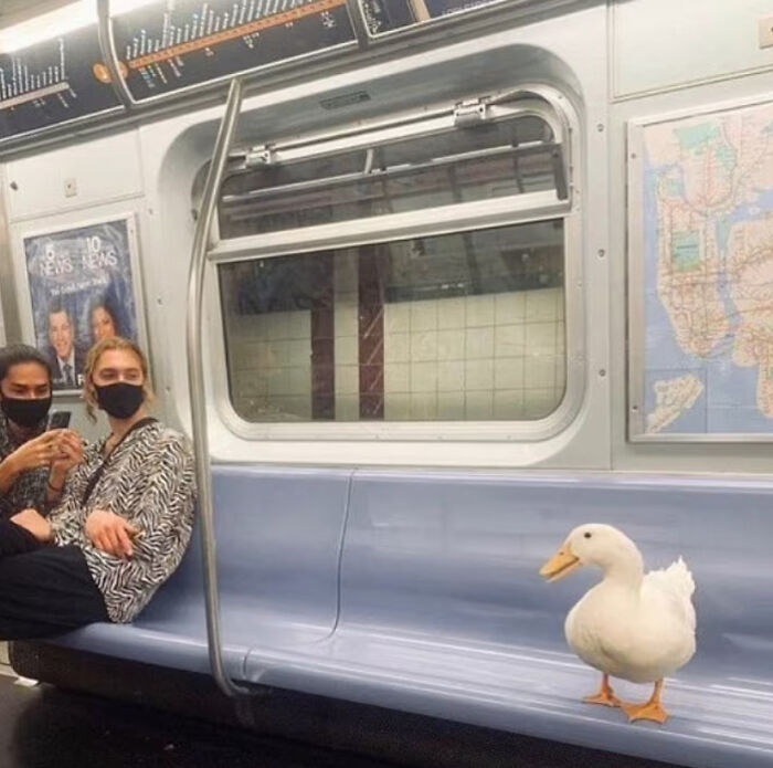 Hilarious-Cursed-Images