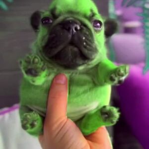 arthurhlflores avatar