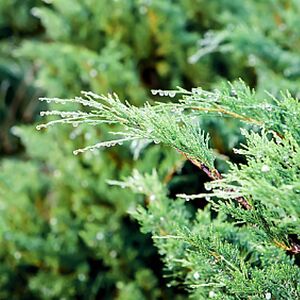 fantasticfemale12 avatar