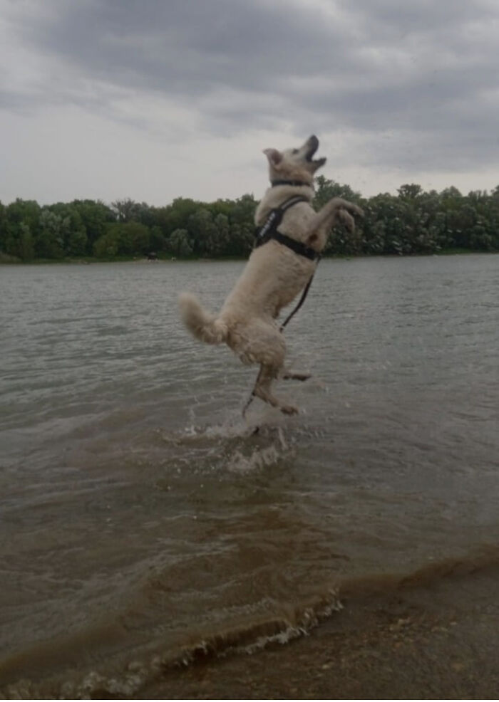 Maybe He Thinks He's Like Jesus So He Can Walk On Water :)