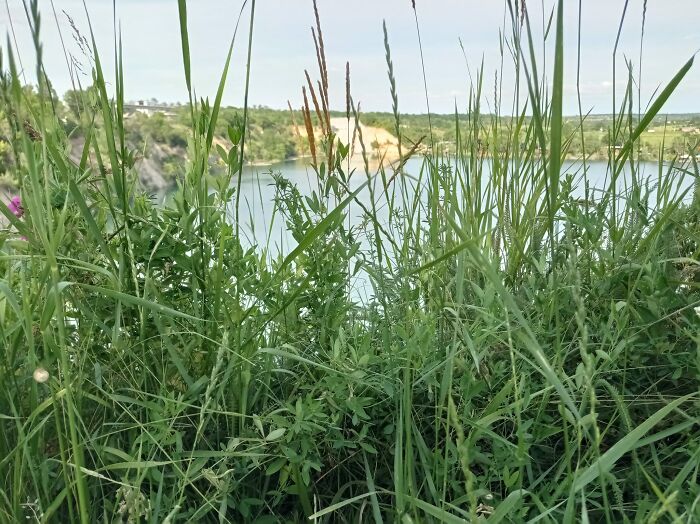 We Painted Poppies In The Field (25 Pics) We Painted Poppies In The Field (25 Pics)
