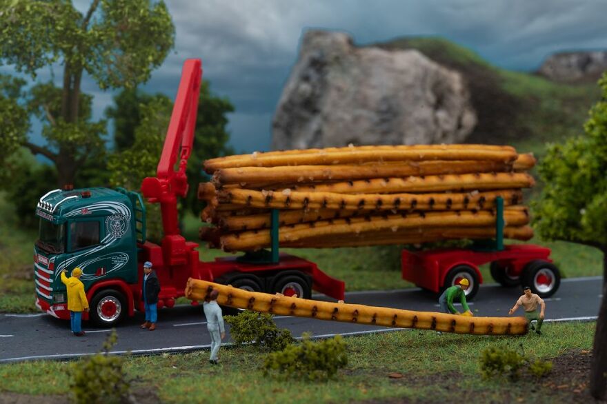 Somewhere In The Salty Forest