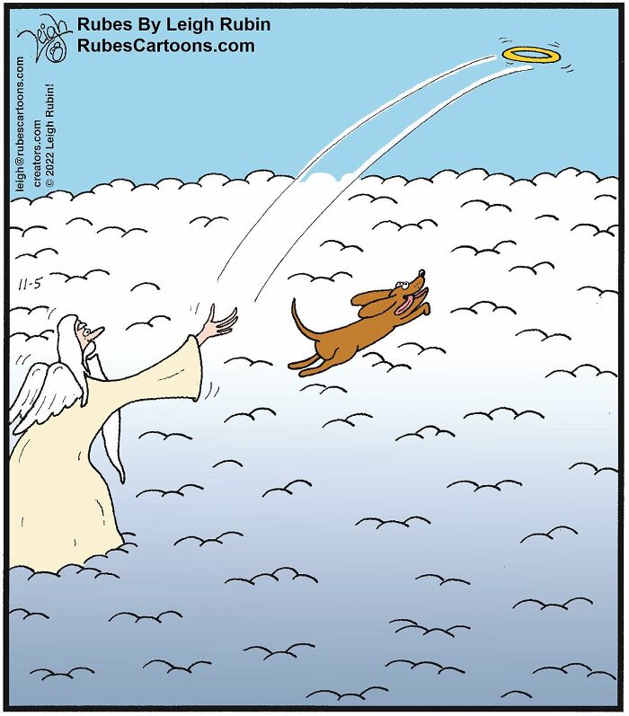 Take A Peek Into The Casual Daily Lives Of Animals With These Hilarious Comics (New Pics)