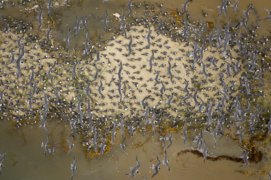 Winged Life Finalist - "Washed Off" By Lalith Ekanayake