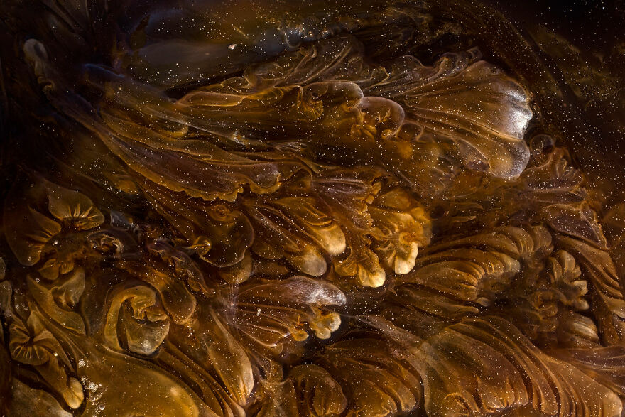 Art Of Nature Finalist - "The Nebula" By Morgan Heim