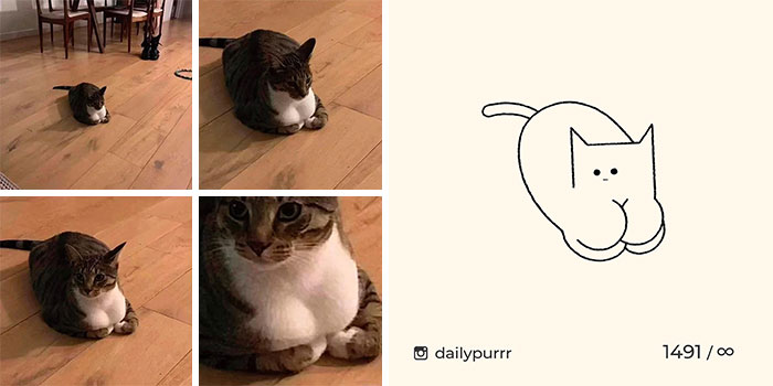 This Instagram Account Draws Really Accurate Cat Drawings