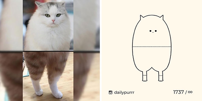 This Instagram Account Draws Really Accurate Cat Drawings