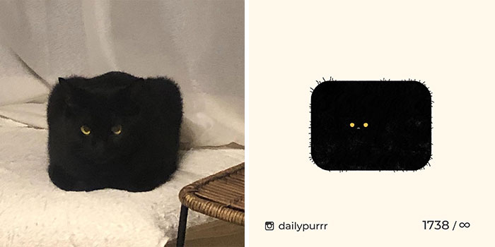 This Instagram Account Draws Really Accurate Cat Drawings