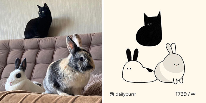 This Instagram Account Draws Really Accurate Cat Drawings