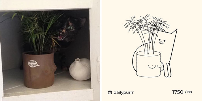 This Instagram Account Draws Really Accurate Cat Drawings