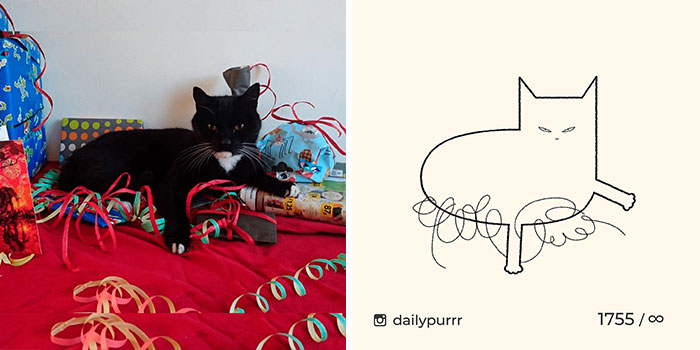 This Instagram Account Draws Really Accurate Cat Drawings