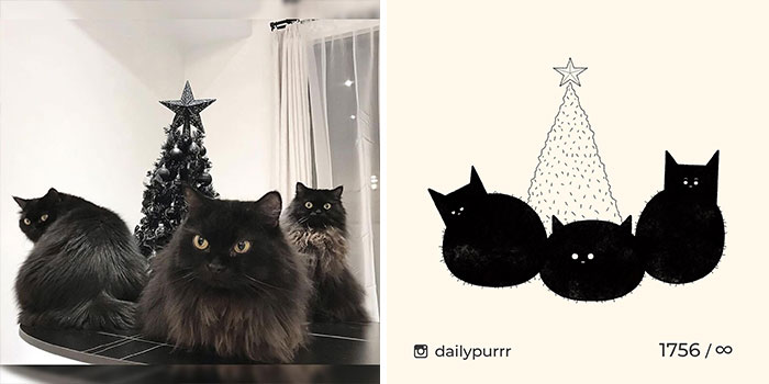 This Instagram Account Draws Really Accurate Cat Drawings