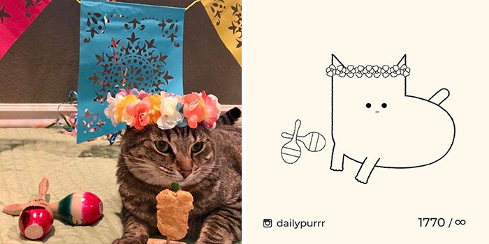 This Instagram Account Draws Really Accurate Cat Drawings