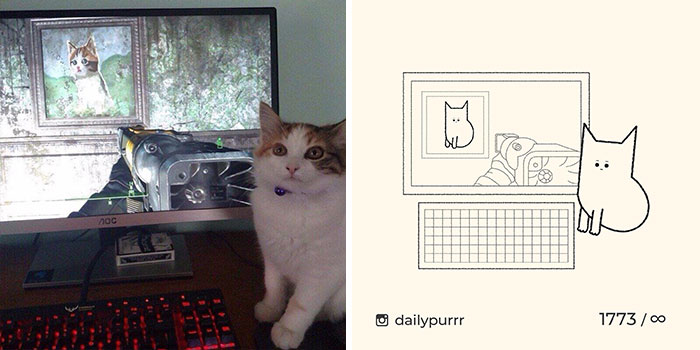 This Instagram Account Draws Really Accurate Cat Drawings