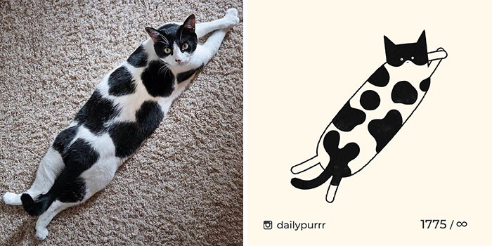 This Instagram Account Draws Really Accurate Cat Drawings