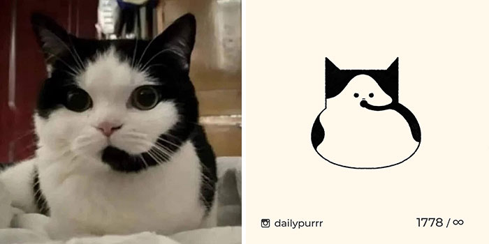 This Instagram Account Draws Really Accurate Cat Drawings