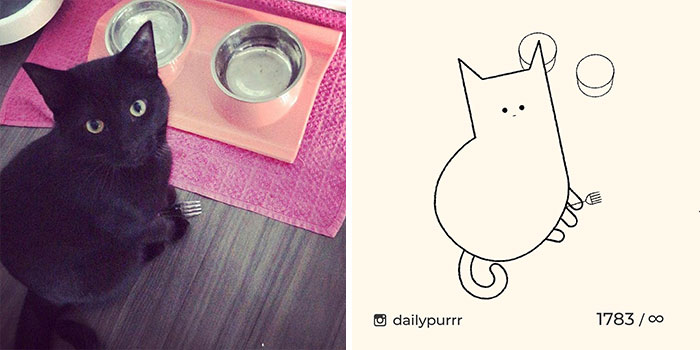 This Instagram Account Draws Really Accurate Cat Drawings