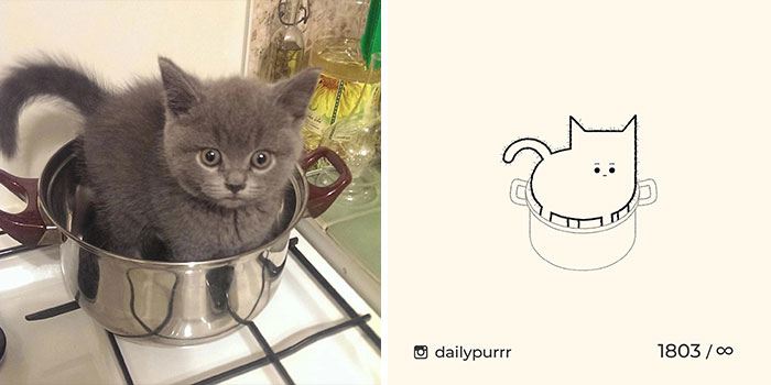 This Instagram Account Draws Really Accurate Cat Drawings