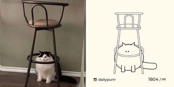 This Instagram Account Draws Really Accurate Cat Drawings