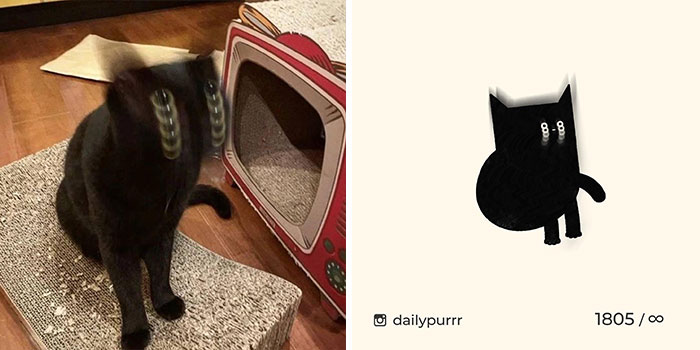 This Instagram Account Draws Really Accurate Cat Drawings