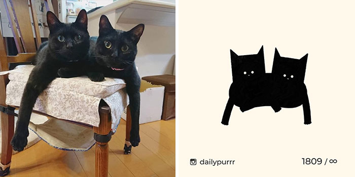 This Instagram Account Draws Really Accurate Cat Drawings