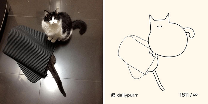 This Instagram Account Draws Really Accurate Cat Drawings