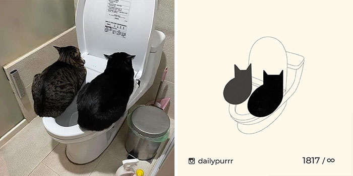 This Instagram Account Draws Really Accurate Cat Drawings