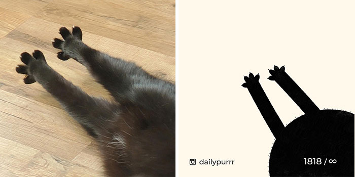 This Instagram Account Draws Really Accurate Cat Drawings