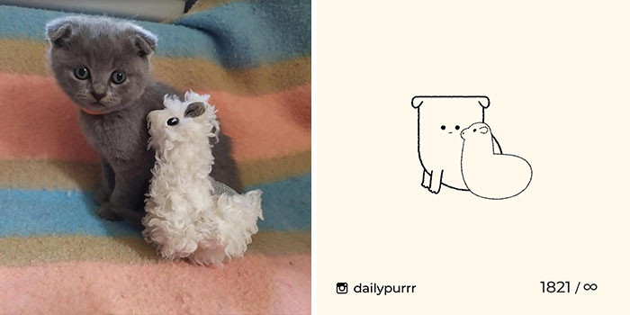 This Instagram Account Draws Really Accurate Cat Drawings