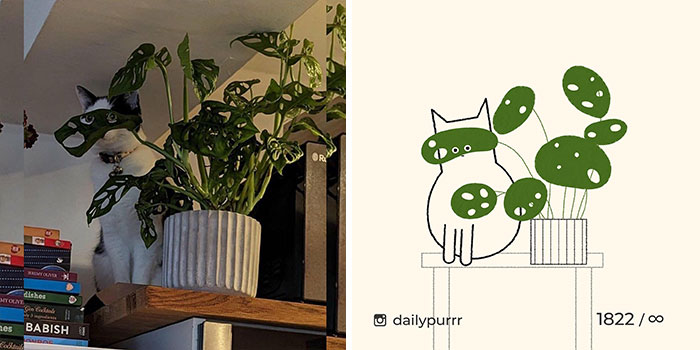 This Instagram Account Draws Really Accurate Cat Drawings
