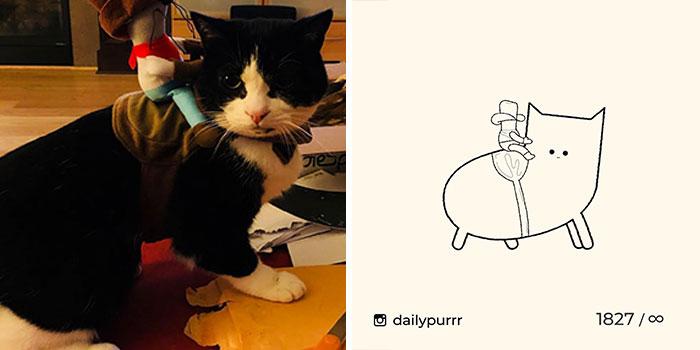 This Instagram Account Draws Really Accurate Cat Drawings