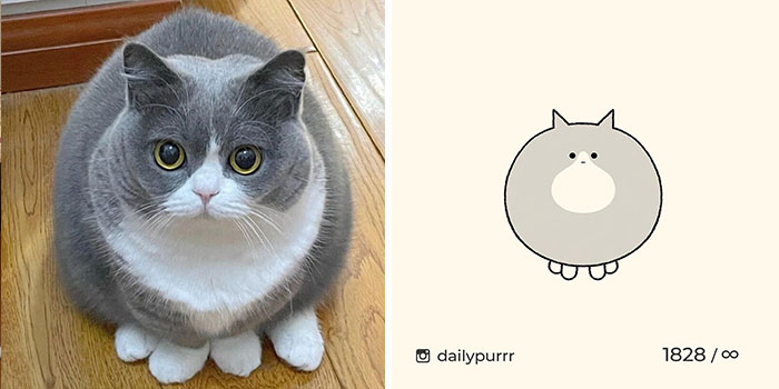 This Instagram Account Draws Really Accurate Cat Drawings