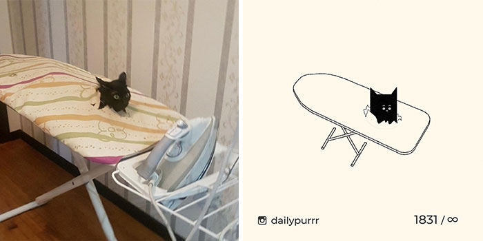 This Instagram Account Draws Really Accurate Cat Drawings