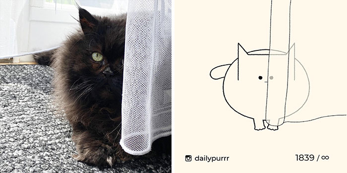 This Instagram Account Draws Really Accurate Cat Drawings