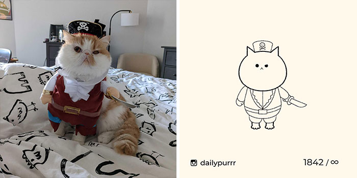 This Instagram Account Draws Really Accurate Cat Drawings