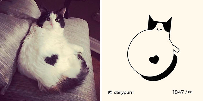 This Instagram Account Draws Really Accurate Cat Drawings