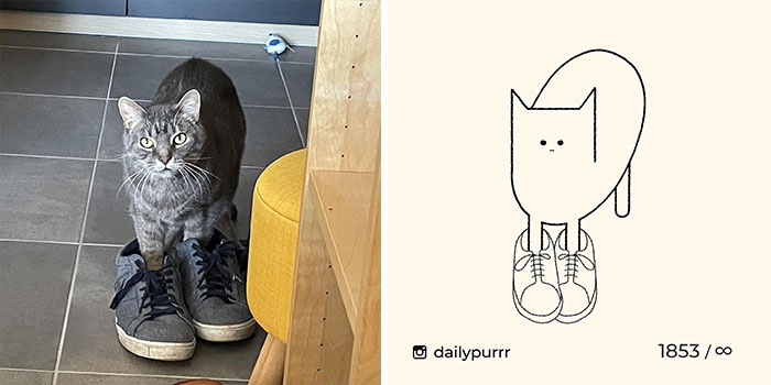 This Instagram Account Draws Really Accurate Cat Drawings