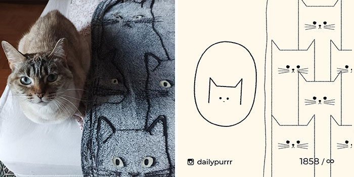 This Instagram Account Draws Really Accurate Cat Drawings