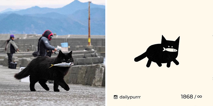 This Instagram Account Draws Really Accurate Cat Drawings