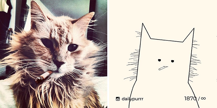 This Instagram Account Draws Really Accurate Cat Drawings