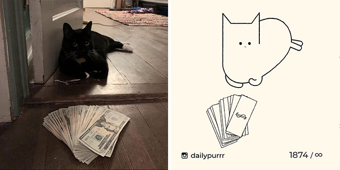 This Instagram Account Draws Really Accurate Cat Drawings