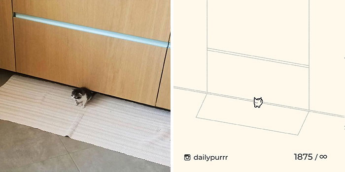This Instagram Account Draws Really Accurate Cat Drawings