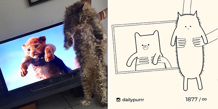 This Instagram Account Draws Really Accurate Cat Drawings