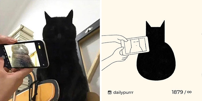 This Instagram Account Draws Really Accurate Cat Drawings