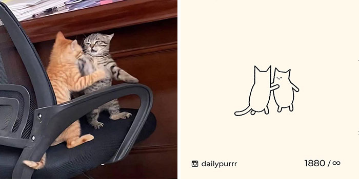 This Instagram Account Draws Really Accurate Cat Drawings