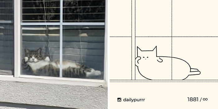 This Instagram Account Draws Really Accurate Cat Drawings