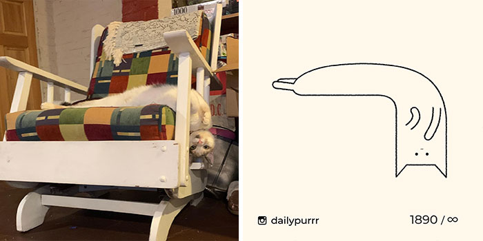 This Instagram Account Draws Really Accurate Cat Drawings