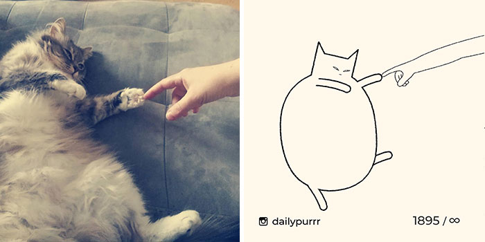 This Instagram Account Draws Really Accurate Cat Drawings